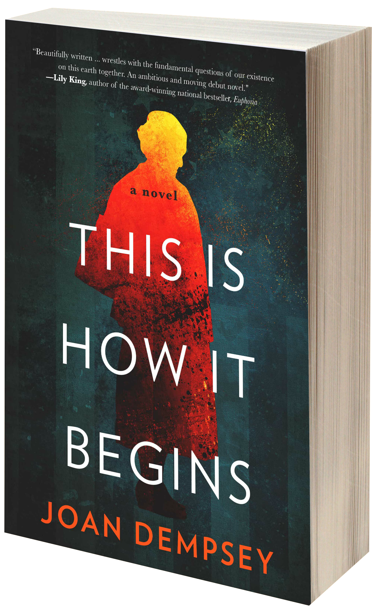 THIS IS HOW IT BEGINS, A NOVEL